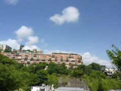 Apartamento en Venta en Colinas de Bello Monte, Caracas